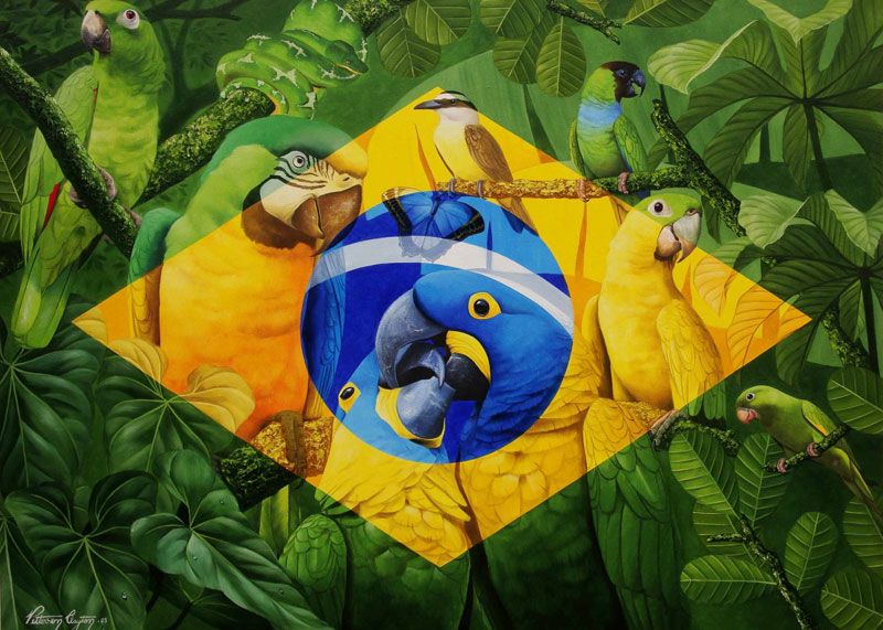 Brazil-by-painter.jpg