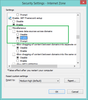 SecuritySettings-Internet Zone.png
