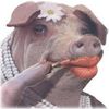 Lipstick on Pig.jpg