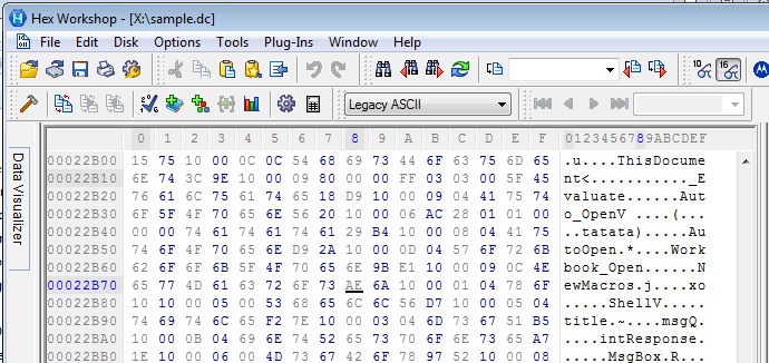 Figure 2 – Hex Workshop view showing Auto-Open related strings