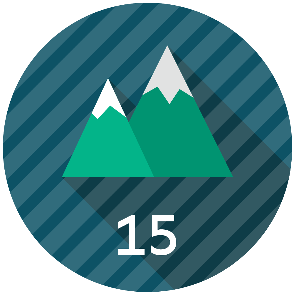Member for 15 Years