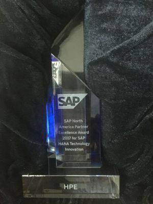 2018 SAP Partner Award.jpg