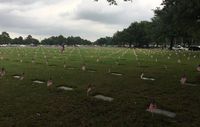 Flags for Fallen Vets - Houston National Cemetery