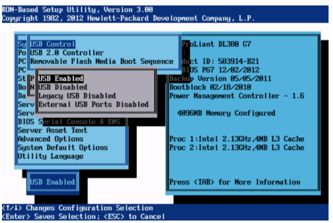 Solved: Booting ESXi 6.5 from USB on an HP Proliant DL360p... - Hewlett  Packard Enterprise Community