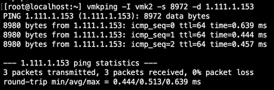Figure 12: ESXi jumbo vmkping to array's data1 discovery IP