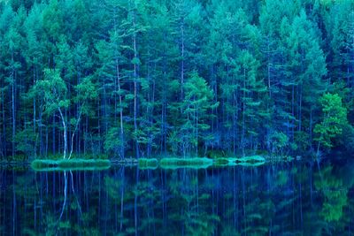 GreenLake.jpg