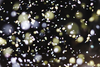 HPE-Slingshot-HPC-Clusters.png