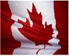 Canada maple leaf.jpg