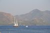 speedboat-with-white-sails-on-the-sea-in-turkey-1428367-m.jpg