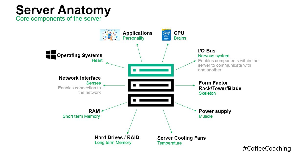 Server anatomy FB.jpg