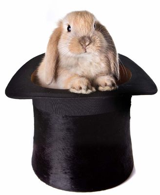 rabbit-hat1.jpg