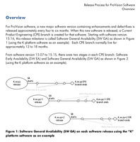 Release_Process_for_ProVision_Software_1.png