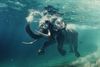 big data_Hadoop_blog.jpg