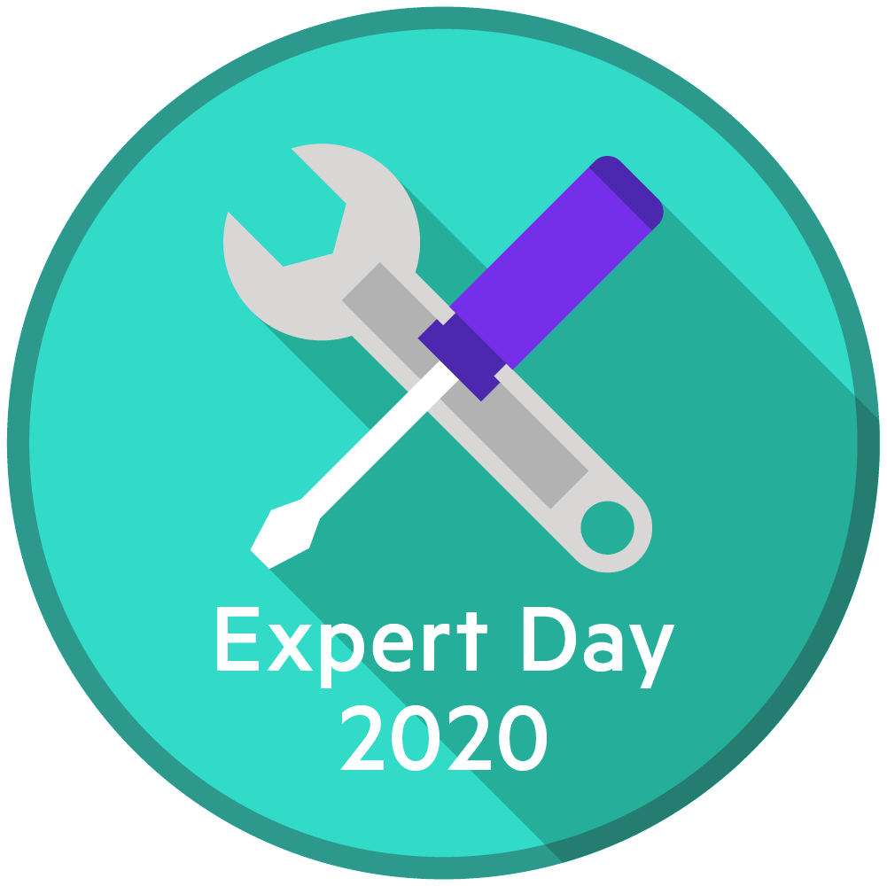 Online Expert Day 2020