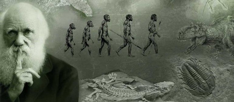Charles Darwin, naturaliste anglais, à l'origine de la théorie évolutionniste qui porte son nom